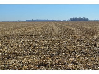 Tracts 4 & 5 - FARMLAND AUCTION - 165.5+/- ACRES OFFERED IN 5 TRACTS OR COMBINATIONS IN EAST ALLEN COUNTY